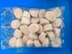 31/40元貝帶子(1KG)