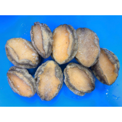 福建東山鮑魚仔(10隻)