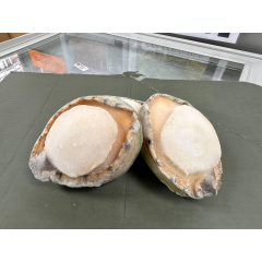 澳洲青邊鮑(細)(磅)