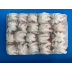 八爪魚仔