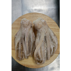 八爪魚鬚
